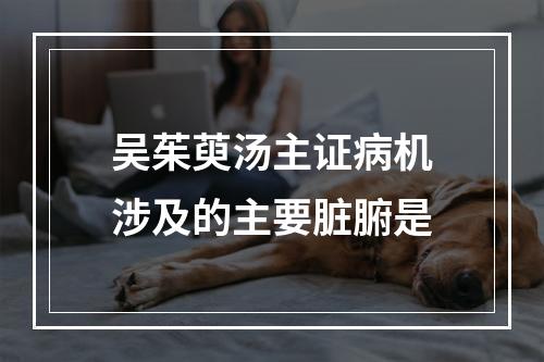 吴茱萸汤主证病机涉及的主要脏腑是