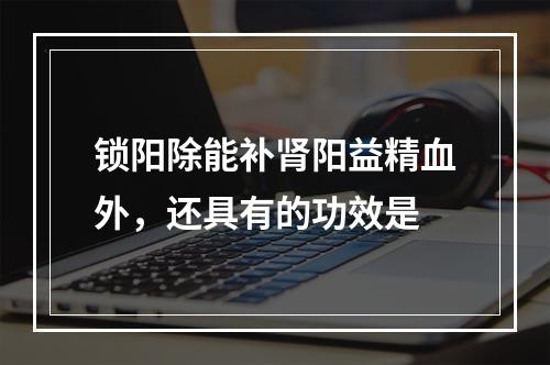 锁阳除能补肾阳益精血外，还具有的功效是