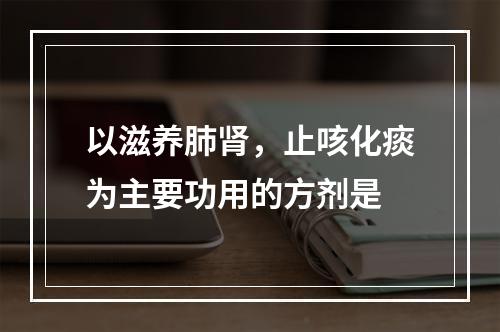 以滋养肺肾，止咳化痰为主要功用的方剂是