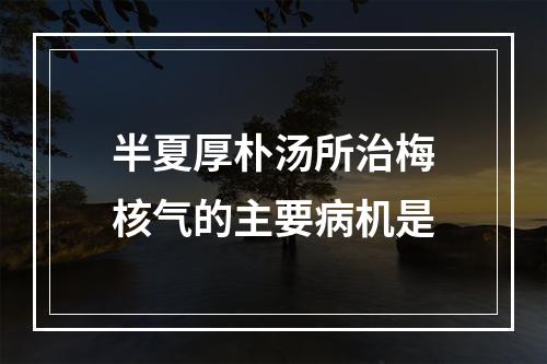 半夏厚朴汤所治梅核气的主要病机是