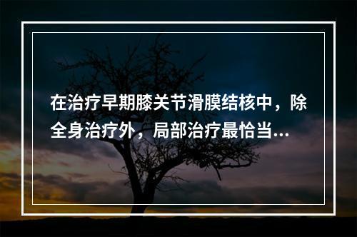 在治疗早期膝关节滑膜结核中，除全身治疗外，局部治疗最恰当的措