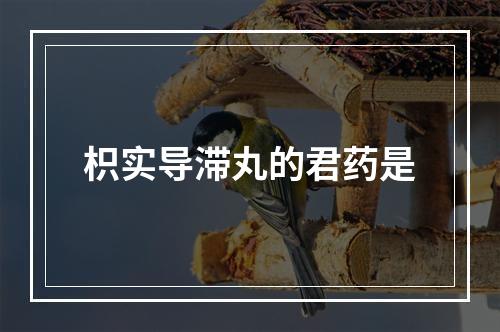 枳实导滞丸的君药是