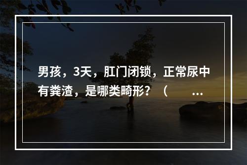 男孩，3天，肛门闭锁，正常尿中有粪渣，是哪类畸形？（　　）