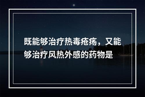 既能够治疗热毒疮疡，又能够治疗风热外感的药物是