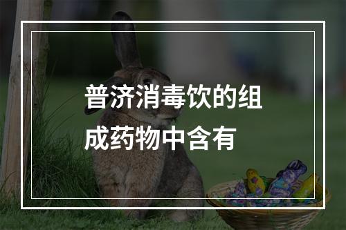 普济消毒饮的组成药物中含有