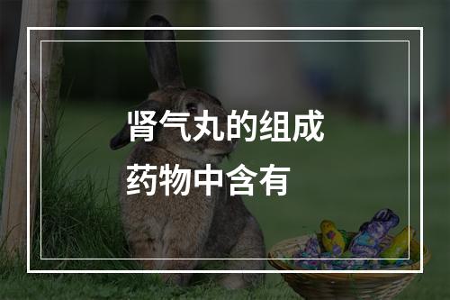 肾气丸的组成药物中含有