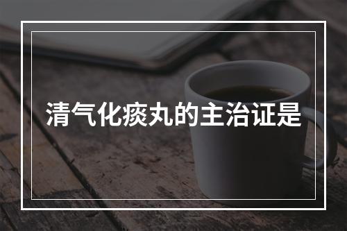 清气化痰丸的主治证是