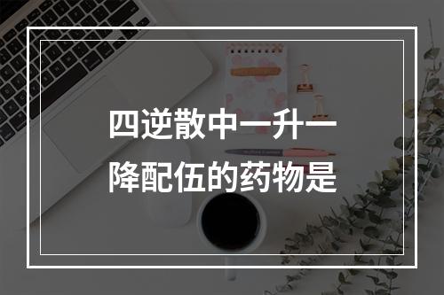 四逆散中一升一降配伍的药物是