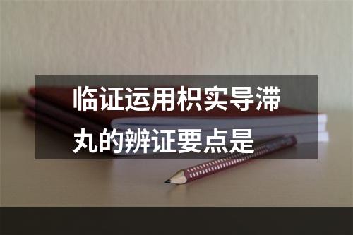 临证运用枳实导滞丸的辨证要点是