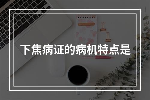 下焦病证的病机特点是