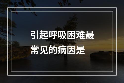 引起呼吸困难最常见的病因是