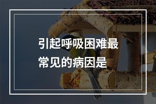 引起呼吸困难最常见的病因是