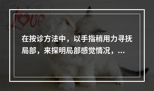 在按诊方法中，以手指稍用力寻抚局部，来探明局部感觉情况，称为