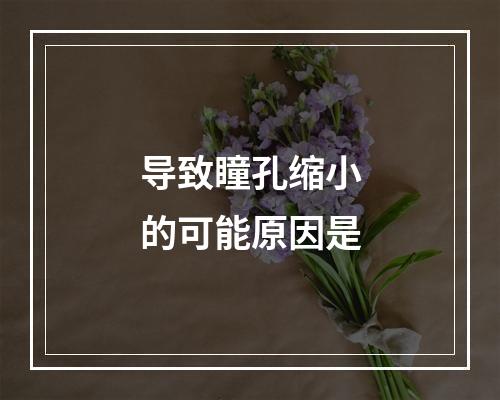 导致瞳孔缩小的可能原因是