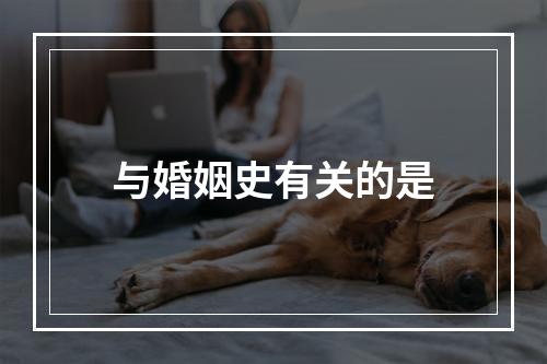 与婚姻史有关的是