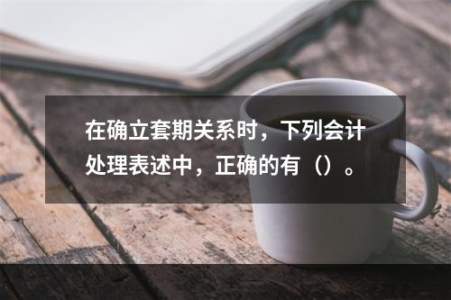 在确立套期关系时，下列会计处理表述中，正确的有（）。