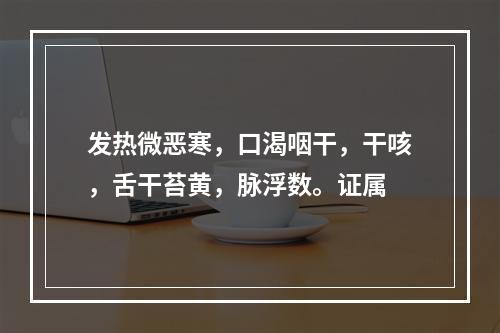 发热微恶寒，口渴咽干，干咳，舌干苔黄，脉浮数。证属