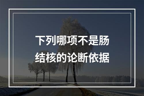 下列哪项不是肠结核的论断依据