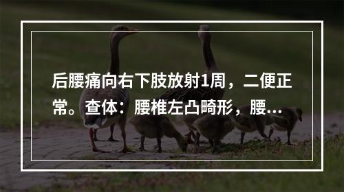 后腰痛向右下肢放射1周，二便正常。查体：腰椎左凸畸形，腰4、