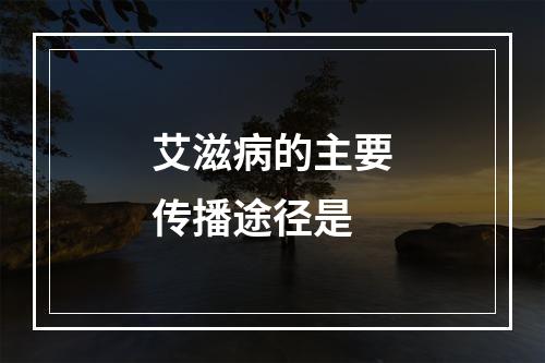 艾滋病的主要传播途径是