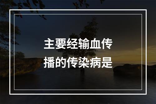 主要经输血传播的传染病是