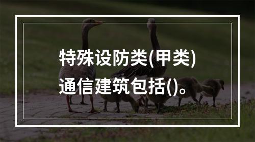 特殊设防类(甲类)通信建筑包括()。