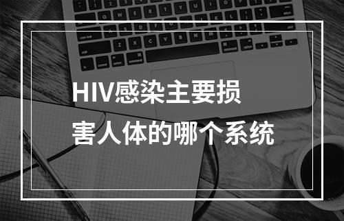 HIV感染主要损害人体的哪个系统