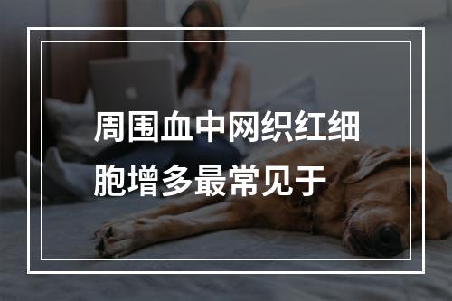 周围血中网织红细胞增多最常见于