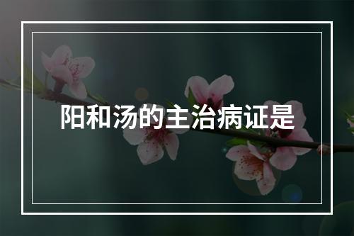 阳和汤的主治病证是