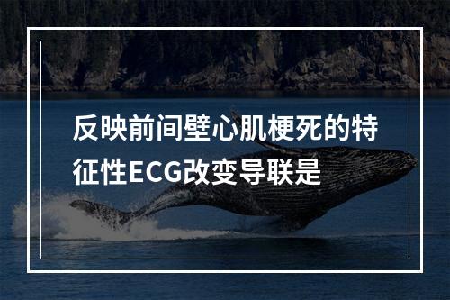 反映前间壁心肌梗死的特征性ECG改变导联是