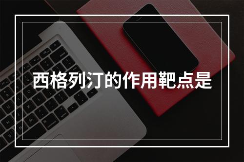 西格列汀的作用靶点是