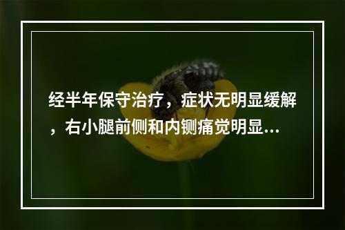 经半年保守治疗，症状无明显缓解，右小腿前侧和内铡痛觉明显减退