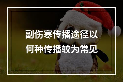 副伤寒传播途径以何种传播较为常见