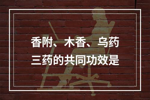 香附、木香、乌药三药的共同功效是