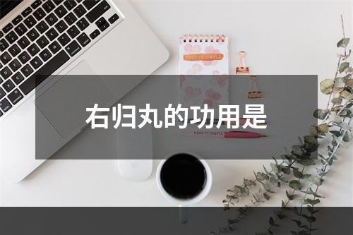 右归丸的功用是