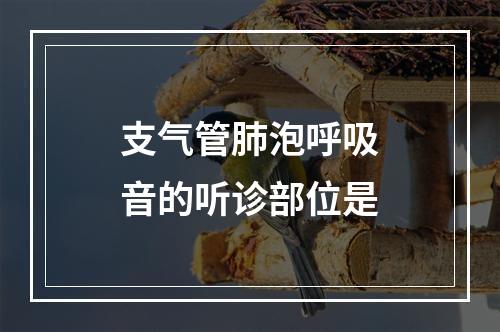 支气管肺泡呼吸音的听诊部位是