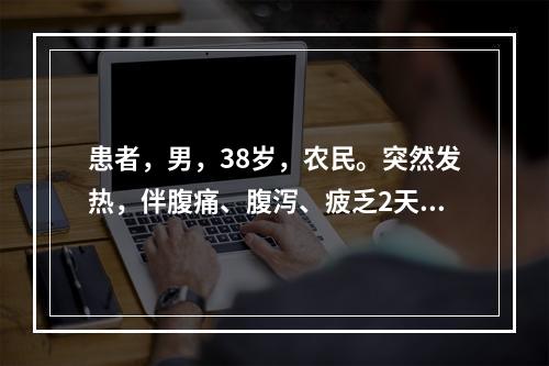 患者，男，38岁，农民。突然发热，伴腹痛、腹泻、疲乏2天，每