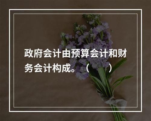 政府会计由预算会计和财务会计构成。（　　）