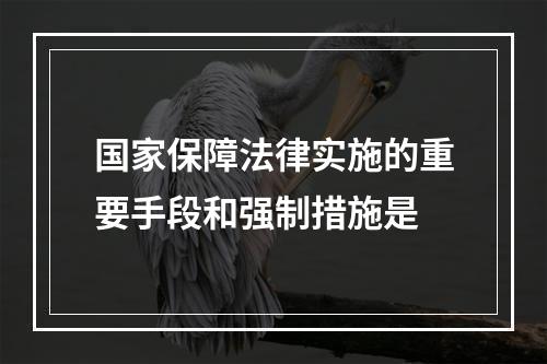 国家保障法律实施的重要手段和强制措施是