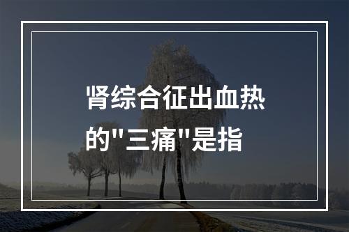 肾综合征出血热的