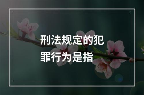 刑法规定的犯罪行为是指