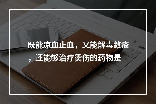 既能凉血止血，又能解毒敛疮，还能够治疗烫伤的药物是