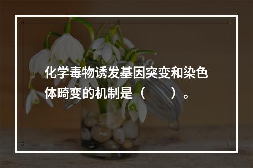 化学毒物诱发基因突变和染色体畸变的机制是（　　）。