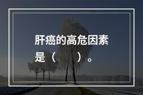 肝癌的高危因素是（　　）。