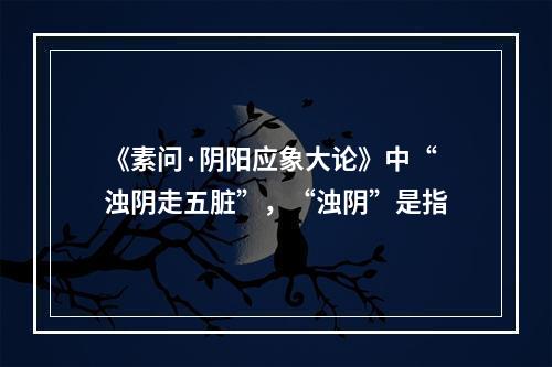 《素问·阴阳应象大论》中“浊阴走五脏”，“浊阴”是指