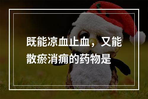 既能凉血止血，又能散瘀消痈的药物是