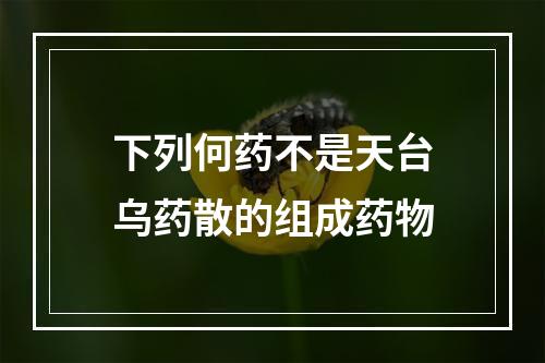 下列何药不是天台乌药散的组成药物