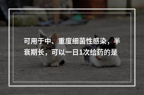 可用于中、重度细菌性感染，半衰期长，可以一日1次给药的是