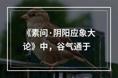 《素问·阴阳应象大论》中，谷气通于