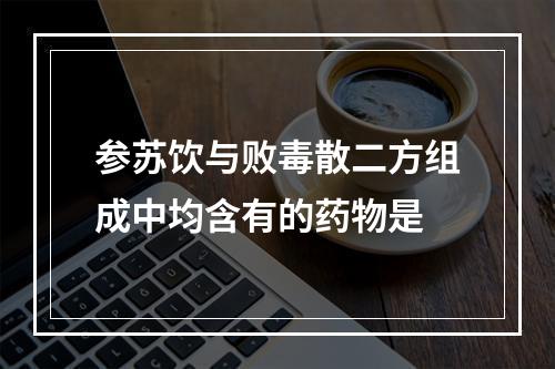 参苏饮与败毒散二方组成中均含有的药物是